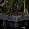 Statue Leia and Wicket - Star Wars Episode VI - Art Scale 1/10 - Iron Studios