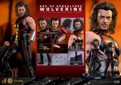 Wolverine Age Of Apocalypse  Hot Toys