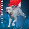 Superman y Krypto Hot Toys