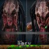 Prey Action Figure 1/6 Feral Predator (Battle Damaged Version) 37 cm