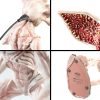 Stranger Things Lámpara con USB-C Demogorgon Grupo Erik