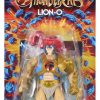 Masters of the Universe x ThunderCats Action Figure Lion-O 14 cm