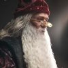 figura albus dumbledore deluxe inart cara