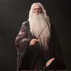 figura dumbledore inart harry potter