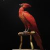 figura dumbledore inart harry potter pajaro