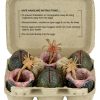 Aliens Pack de 6 Accesorios Carton of Alien Eggs (40th Anniversary)