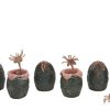 Aliens Pack de 6 Accesorios Carton of Alien Eggs (40th Anniversary)