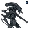 Aliens Ultimate Figura Warrior (1986) Xenomorph Black (40th Anniversary) 23 cm