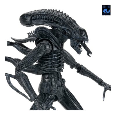 Aliens Ultimate Figura Warrior (1986) Xenomorph Black (40th Anniversary) 23 cm