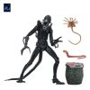 Aliens Ultimate Figura Warrior (1986) Xenomorph Black (40th Anniversary) 23 cm
