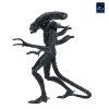 Aliens Ultimate Figura Warrior (1986) Xenomorph Black (40th Anniversary) 23 cm