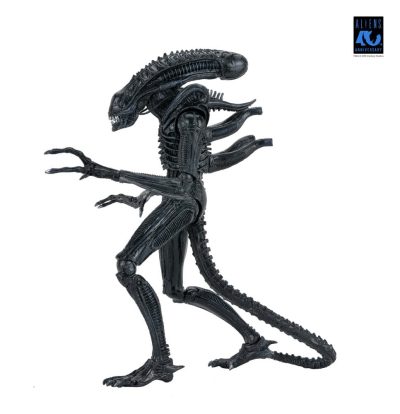 Aliens Ultimate Figura Warrior (1986) Xenomorph Black (40th Anniversary) 23 cm