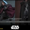 Anakin Skywalker™ (Concept Art Version) (Artisan Edition)