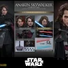 Anakin Skywalker™ (Concept Art Version) (Artisan Edition)