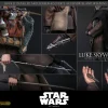 Luke Skywalker™ (Artisan Edition)