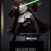 Qui-Gon Jinn™ (Artisan Edition)