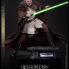 Qui-Gon Jinn™ (Artisan Edition)