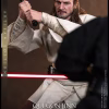 Qui-Gon Jinn™ (Artisan Edition)