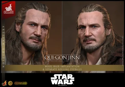 Qui-Gon Jinn™ (Artisan Edition)