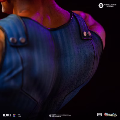 Lion-O Unleashed - ThunderCats - Art Scale 1/10 - Iron Studios