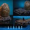 Alien Movie Masterpiece Action Figure 1/6 Alien Warrior (Deluxe Version) 39 cm