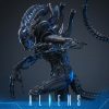 Alien Movie Masterpiece Action Figure 1/6 Alien Warrior 39 cm