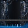 Alien Movie Masterpiece Action Figure 1/6 Alien Warrior 39 cm