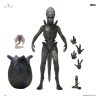 figura wendy alien earth ultimate neca