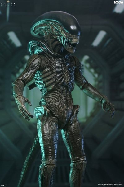 figura xenomorph alien earth ultimate neca