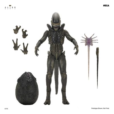 figura xenomorph ultimate neca alien earth