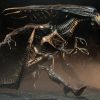 Aliens Alien Queen Resurrection Dlx Af