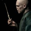 Figura Voldemort Harry Potter y las Reliquias de la Muerte Escala 1/6 INART